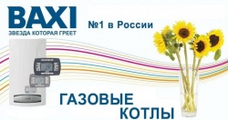 Газовый котел BAXI