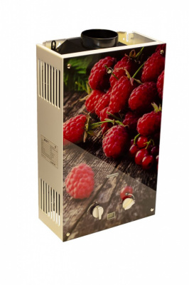 Водонагреватель газовый проточный Wert 10EG BERRY